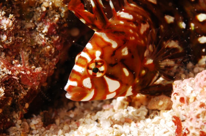 Clichés du Trophée H2o (photo: DR)