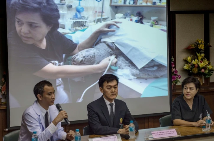 Des vétérinaires expliquent les causes de la mort de la tortue "Tirelire", le 21 mars 2017 à Bangkok