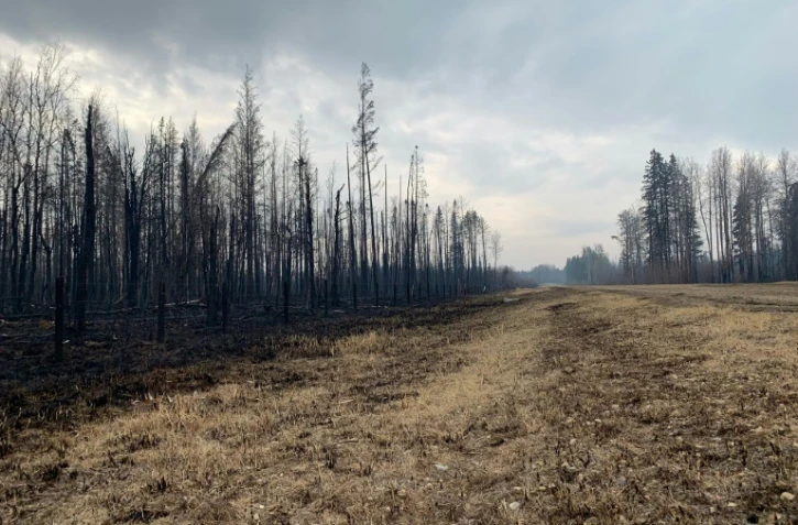 Autour d'Entwistle dans la province canadienne de l'Alberta, plusieurs feux sont hors de contrôle depuis plusieurs jours, le 9 mai 2023.