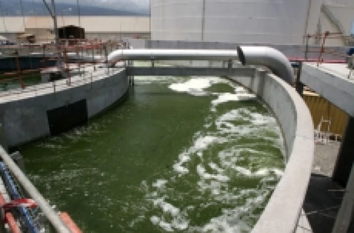 Station d'épuration du Port (Photo D.R)