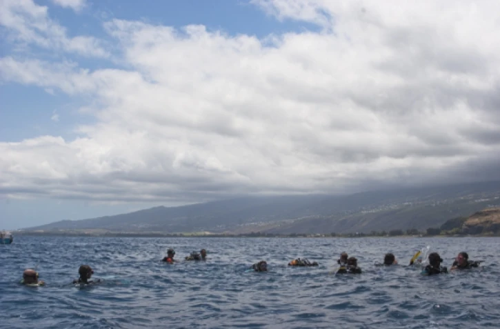 Reef Check 2010 (photo: DR)