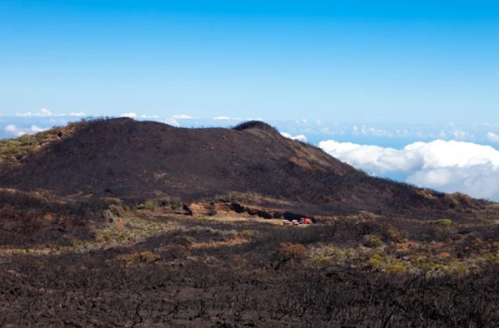Jeudi 18 Novembre 2010

Route forestière du volcan photo Laurent Capmas