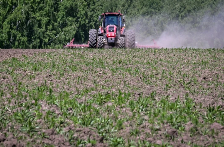 Un agriculteur dans un champ de l'exploitation Tchiorny Khleb ("Pain noir"), le 7 juin 2022 Ă Khotmanovo, en Russie