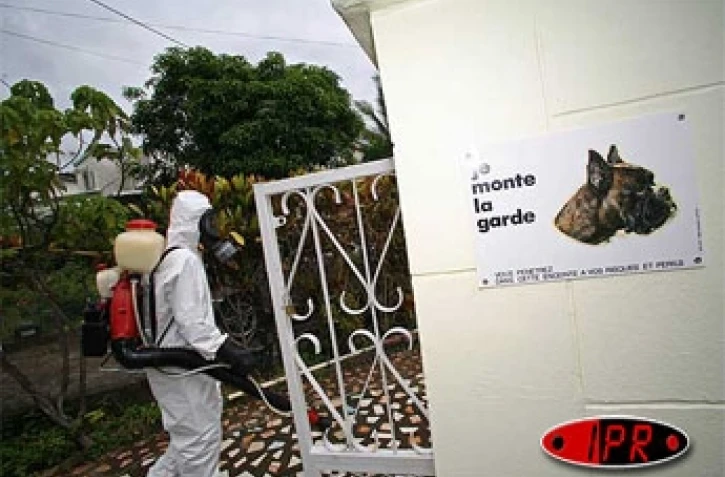 Opération de démoustication (Photo archives)