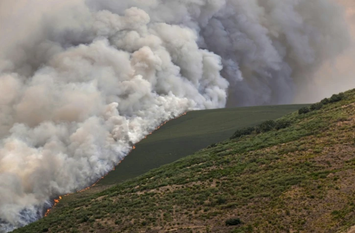 Un incendie de forêt à Castrillo de Cabrera, dans le nord-ouest de l'Espagne, le 16 août 2025