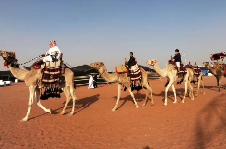 Des Saoudiens montent à dos de chameau lors du festival Roi-Abdelaziz à Al-Rumhiya, à 160 km à l'est de Ryad, le 19 janvier 2018