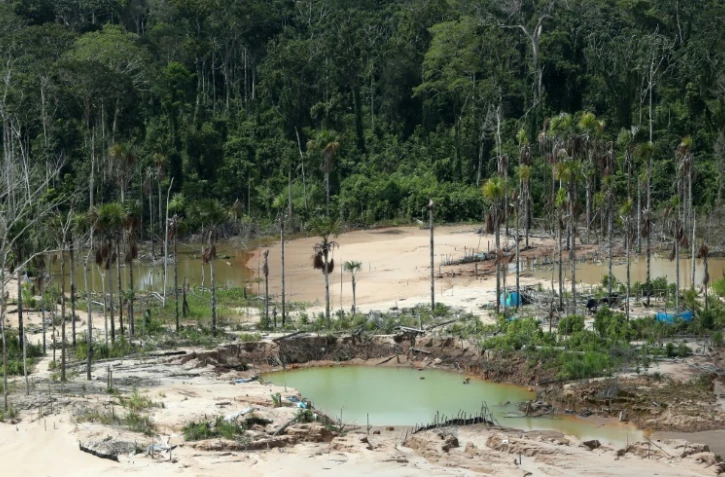 Déforestation dans l'Amazonie péruvienne, liée aux mines illégales d'or, en mars 2019