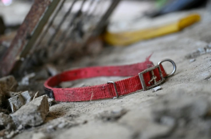 Une collier de chien sur le sol dans un abattoir canin abandonné à Pyeongtaek, en Corée du Sud, le 11 juin 2026
