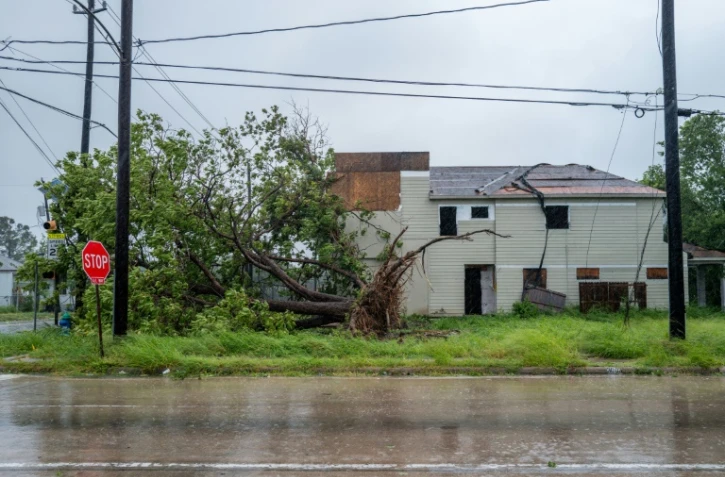 Un arbre abattu par des vents violents lors du passage de l'ouragan Béryl, le 8 juillet 2024 à Houston, au Texas