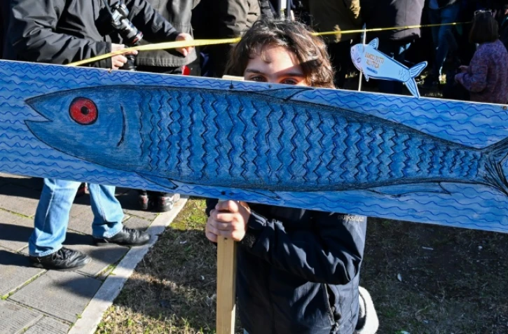 Un enfant tient une pancarte figurant une sardine lors d'une manifestation antifascite à Rome le 14 décembre 2019