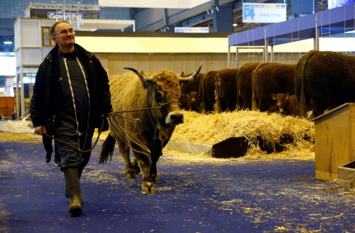 Un agriculteur conduit une vache à la veille de l'ouverture du salon de l'Agriculture à Paris le 22 février 2018