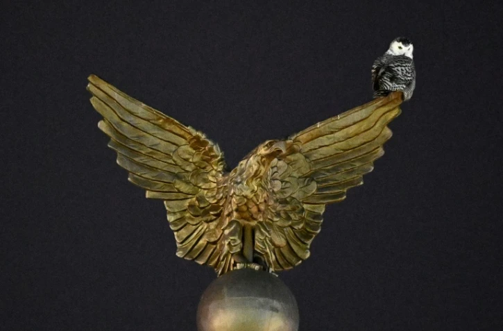 Un harfang des neiges accroché à la statue d'un aigle, symbole des Etats-Unis, devant la gare de Washington, Union Station, le 13 janvier 2022