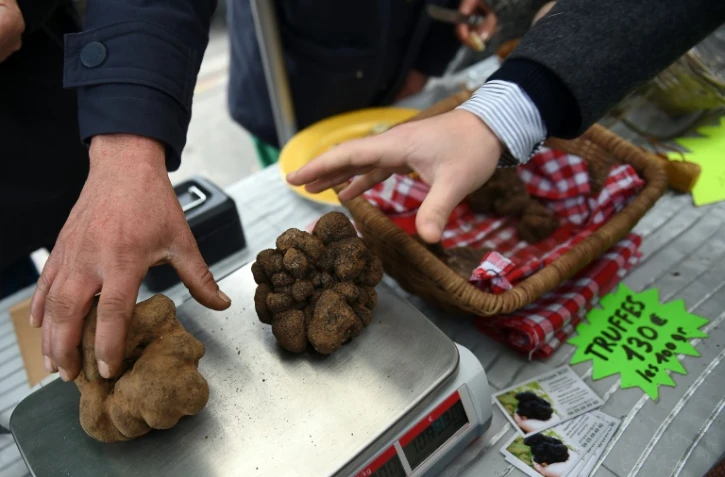 Vente de truffes le 20 décembre 2015 sur le  marché de Rognes