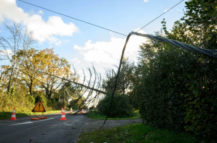 Une ligne à haute tension tombée au sol en bordure de route après des vents violents liés à la tempête Caetano, le 21 novembre 2024 à Lavau-sur-Loire, en Loire-Atlantique