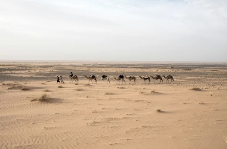 L'archéologue français Thierry Tillet commence avec trois chameliers une nouvelle méharée exploratrice à la tête d'un convoi de neuf dromadaires dans le désert mauritanien. Le 22 janvier 2020, entre Tichitt et Aratane