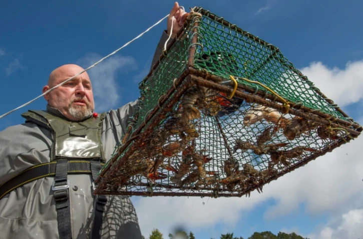PĂŞche scientifique au lac d'Aydat (Puy-de-DĂ´me), le 14 septembre 2017