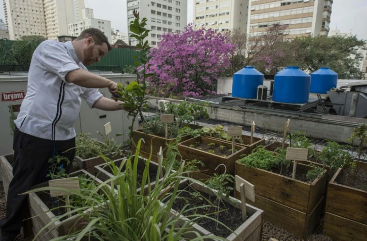 Julien Mercier, chef du restaurant Le Bilboquet, le 21 juillet 2016 à Sao Paulo