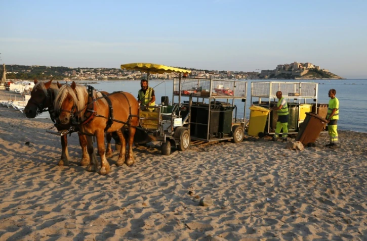 Une hippomobile sillonne une plage de Calvi, en Corse, pour ramasser les poubelles des restaurants, le 28 juillet 2017