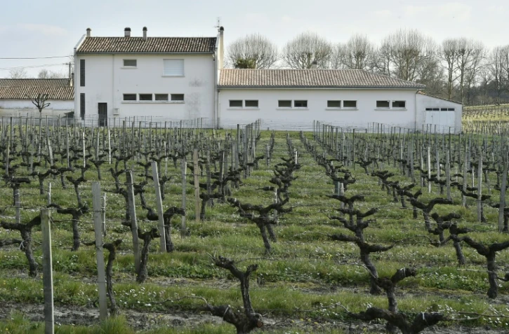 Une école élémentaire bâtie en bordure d'un vignoble, à Villeneuve (Gironde), le 23 mars 2016