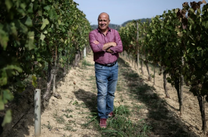Filippo Mobrici, président du Consorzio Barbera d'Asti, le 21 septembre 2026 dans un vignoble près de la ville italienne d'Asti