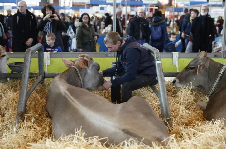 Des visisteurs dans les allées du Salon de l'Agriculture le 27 février 2015 à Paris