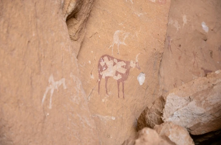 Des peintures sur les roches sur le site de Garoa Hallagana, dans l'Ennedi-Ouest, au Tchad, le 10 juillet 2025