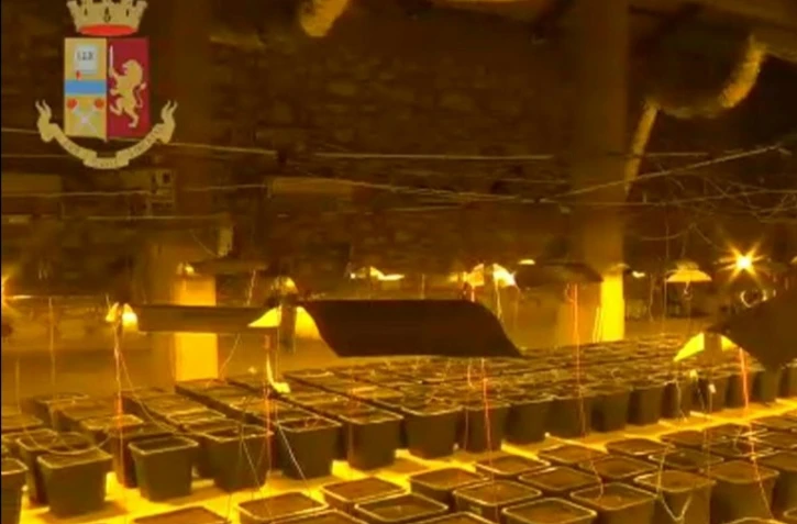 Capture d'écran réalisée le 11 octobre 2019 à partir d'images fournies par la police italienne qui a découvert  une vaste plantation de marijuana derrière une cabine de douche en Sardaigne 