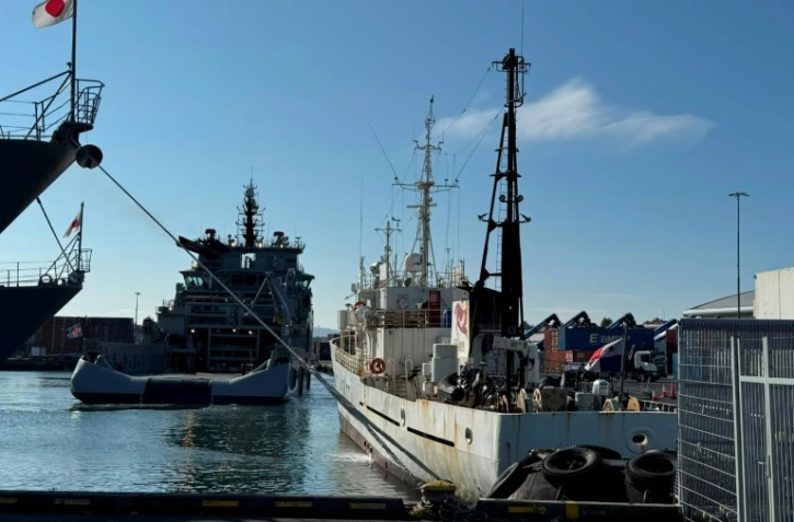 Photo prise le 31 juillet 2026 et fournie par la Fondation Paul Watson le 1er août 2026 montrant à droite le Bandero, navire de la Fondation, flanqué à gauche par un bateau des garde-côtes islandais, dans le port de Reykjavik
