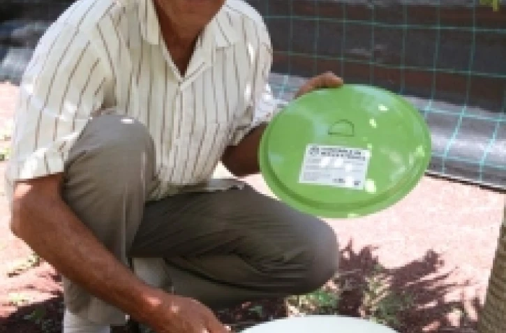 Le gob Ă moustiques (photo: D.R)