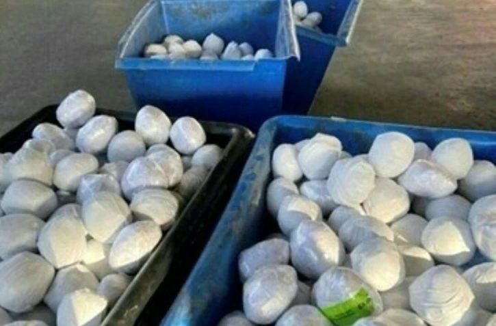 Cette image fournie par les douanes américaines montre les caisses de méthamphétamines emballées sous la forme d'oignons, au millieu desquelles la drogue était cachée