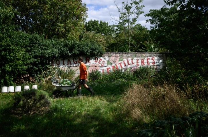 Un homme travaille dans le potager collectif du "Quartier libre des Lentillères", une ZAD urbaine à Dijon, le 3 août 2025 en Côte d'Or