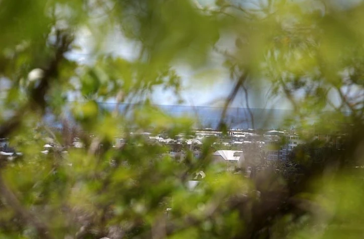 Vendredi 7 Janvier 2011
Sentier botanique de La Providence
(Photo Marie Trouvé)