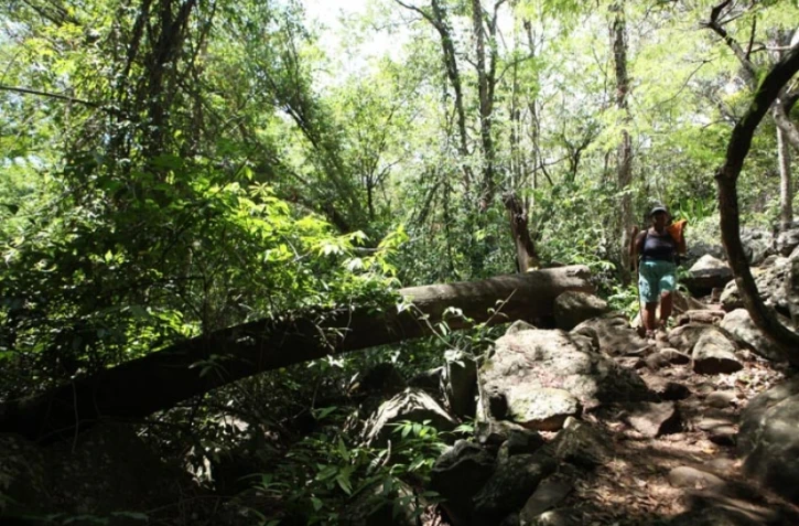 Vendredi 7 Janvier 2011
Sentier botanique de La Providence
(Photo Marie Trouvé)
