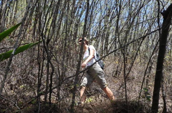 Vendredi 7 Janvier 2011

Sentier botanique de La Providence 

(Photo Marie Trouvé)