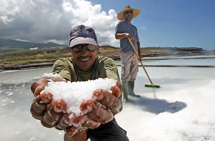 Jeudi 13 Janvier 2011
Saline de Saint-Leu