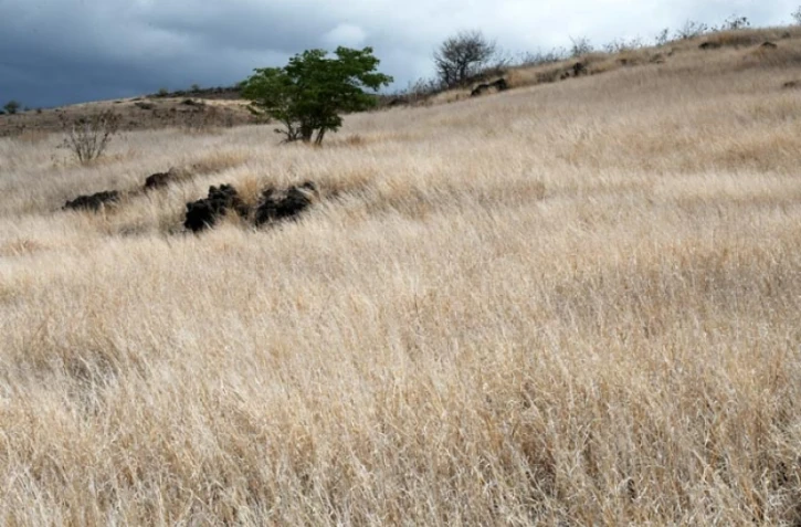 Sécheresse dans l'Ouest