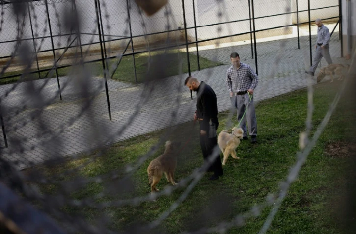Des détenus et des chiens le 7 février 2016 dans la prison de Debrecen en Hongrie