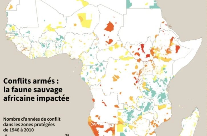 Conflits armés : la faune sauvage africaine impactée
