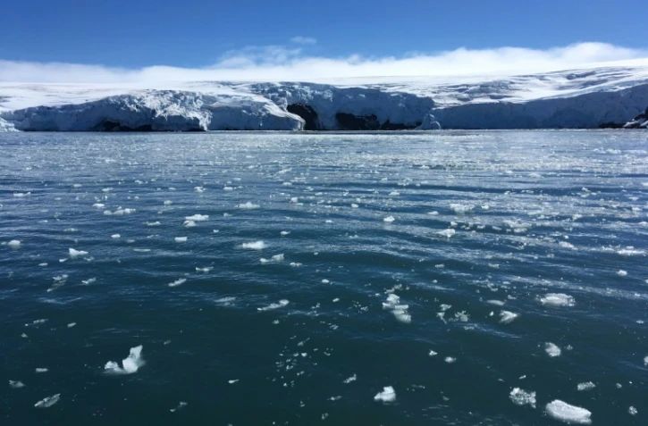 Des blocs de glace au large du glacier Collins, le 2 février 2018 sur l'île du Roi-George, en Antarctique