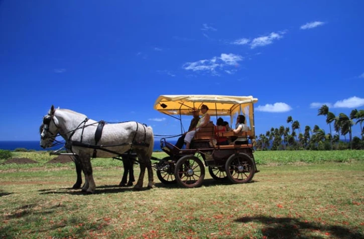 Calèche à Sainte-Suzanne