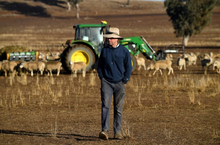 Clive Barton, un fermier australien, marche sur terres asséchées dans la région de Duri, en Nouvelle-Galles du Sud, le 7 août 2018