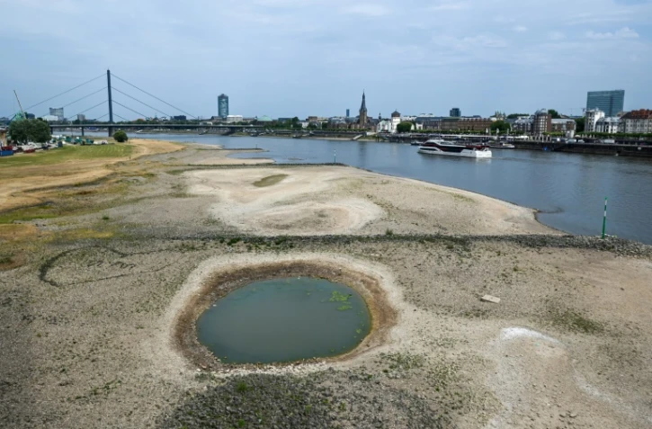 Le lit du Rhin partiellement asséché, le 25 juillet 2022 à Düsseldorf, en Allemagne