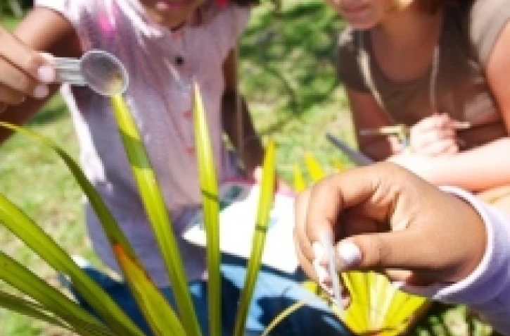 Présentation de la mallette pédagogique du l'ONF, lundi 4 avril 2011 (Photos Jean Noël Enilorac)