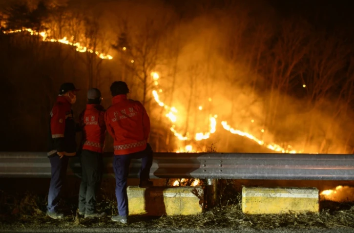 Des agents du Service des forêts sud-coréen observent les graves incendies qui ont ravagé le sud-est du pays, le 27 mars 2025 à Andong