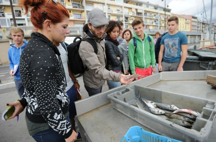 Clément Calmettes (c), professeur au lycée de la Mer, avec quelques uns de ses élèves de première année de BTS sur le port de Sète, dans l'Hérault, le 15 septembre 2015