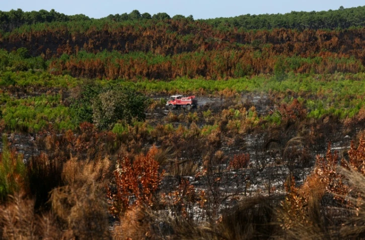 Un véhicule de pompiers au milieu d'une végétation en partie détruite par un incendie à LÚge-Cap-Ferret, en Gironde, le 1er août 2026