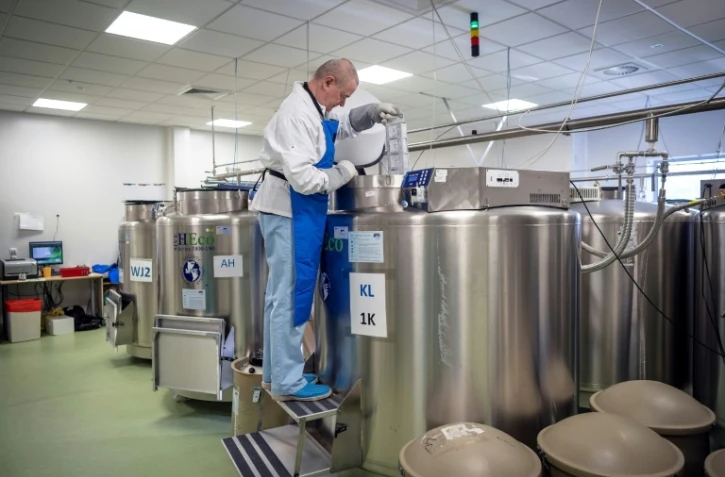 Le biologiste Krzysztof Machaj montre des cellules souches conservées à la banque de sang ombilical polonaise PBKM/FamiCord, à Varsovie le 26 novembre 2019