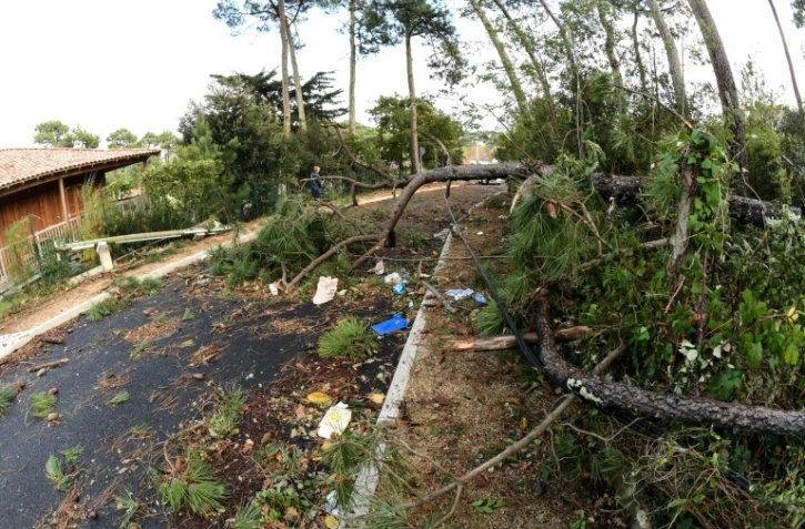 Arbres et pylône électrique abattus dans une rue de Lacanau (sud-ouest ) après le passage de la tempête Amélie, le 3 novembre 2019