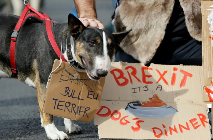 Des propriétaires de chiens et leur animaux domestiques ont manifesté le 7 octobre 2018 à Londres contre le Brexit

