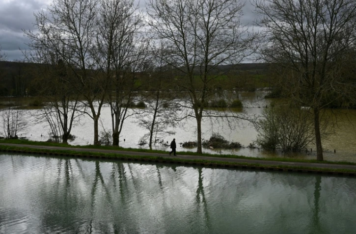 Un homme marche sur un chemin entre le canal de Bourgogne et la rivière Armançon en crue, le 2 avril 2024 près d'Aisy-sur-Armançon, dans l'Yonne